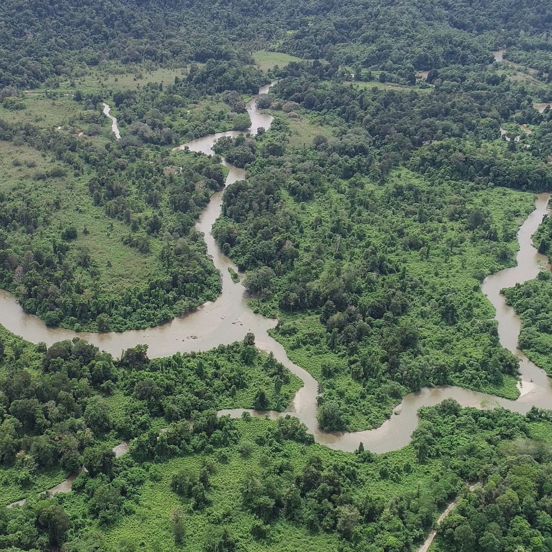 Aerial view of a watershed system in Indonesia