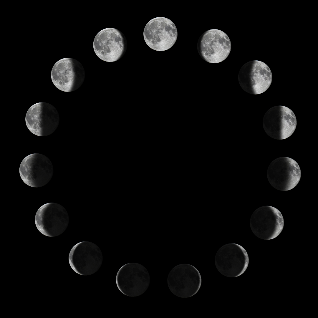 Astro 3 (3)