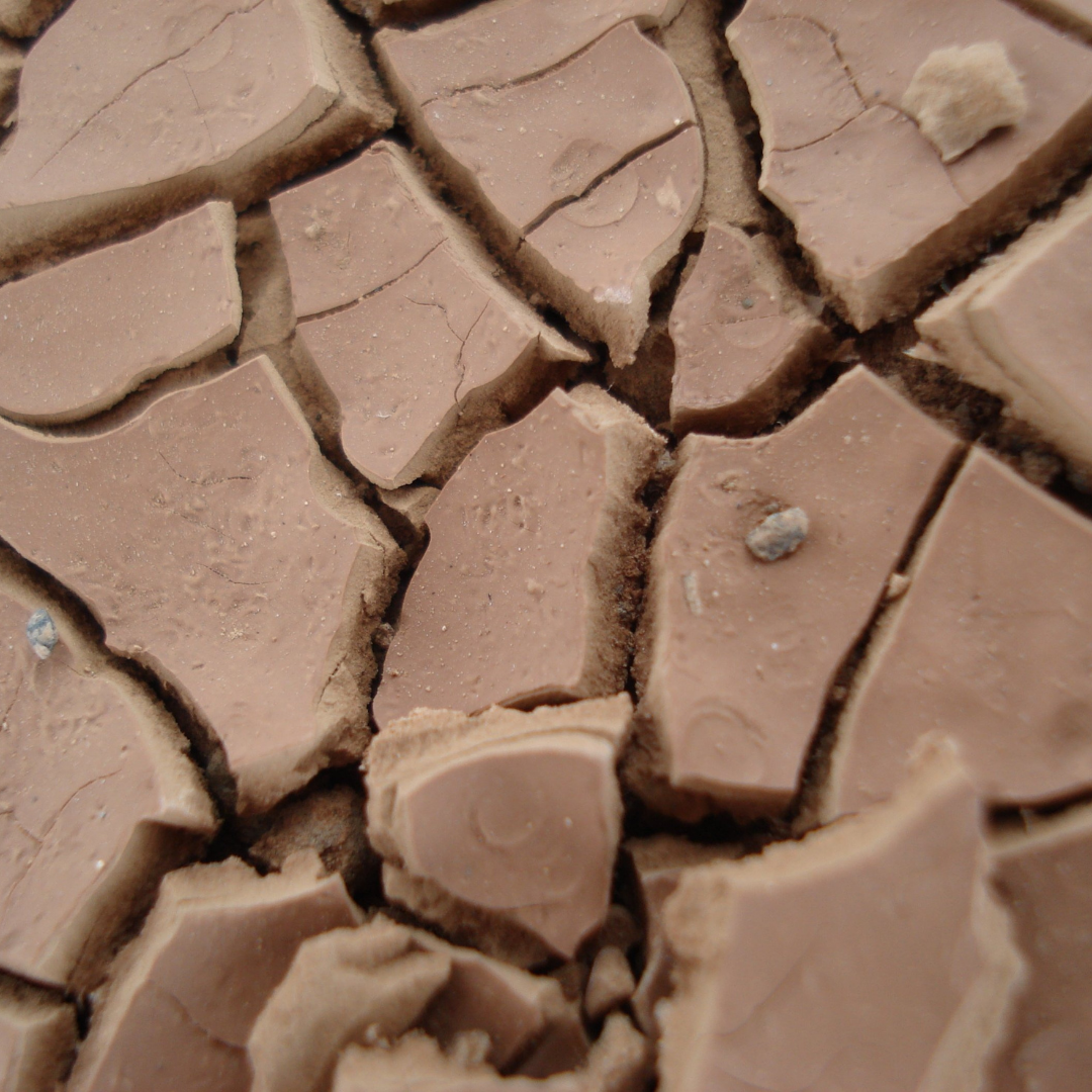Geology 1 (3)