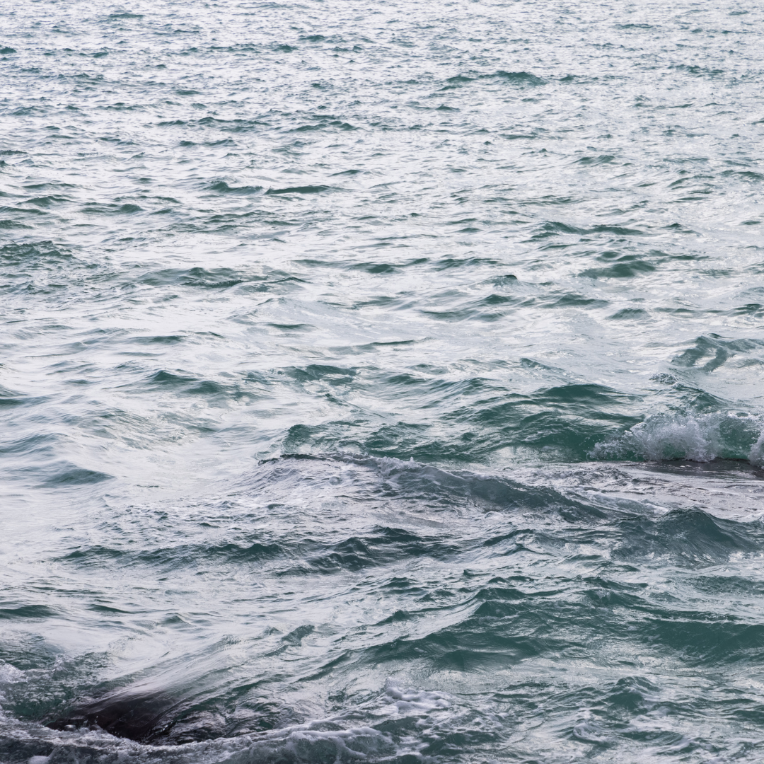 Ocean 4 (3)