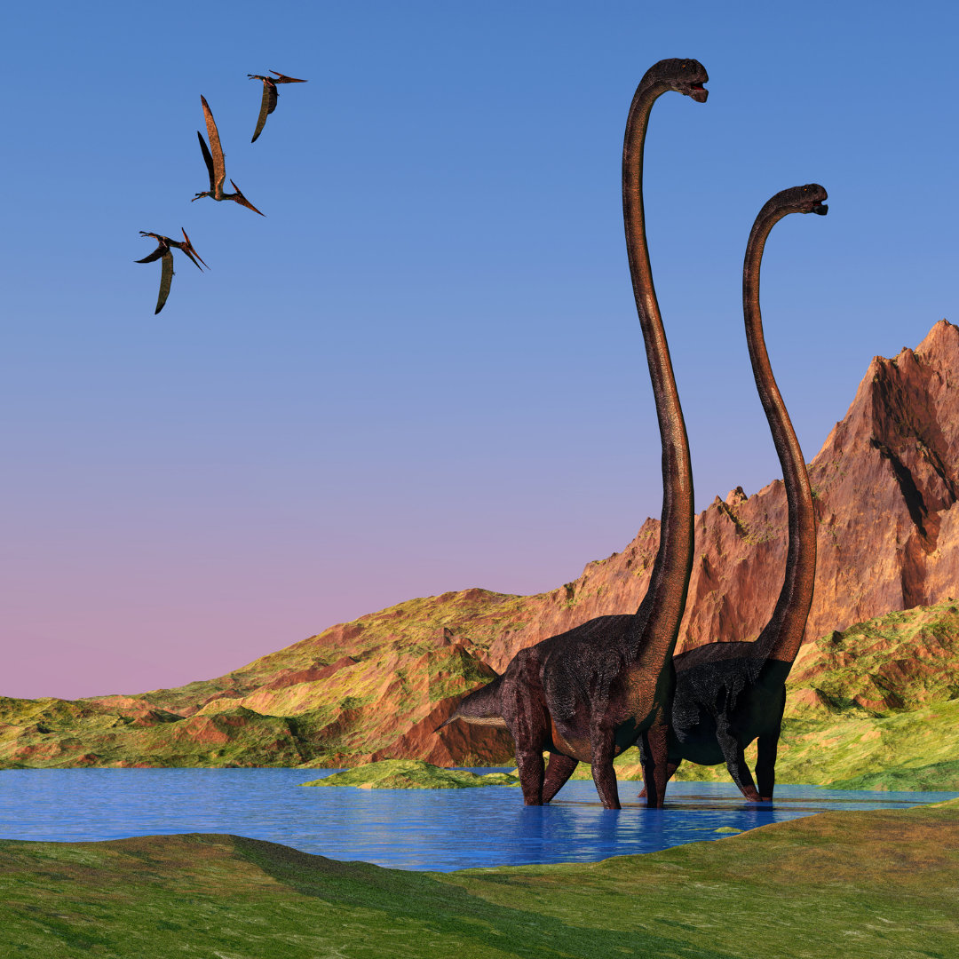 Paleo 1