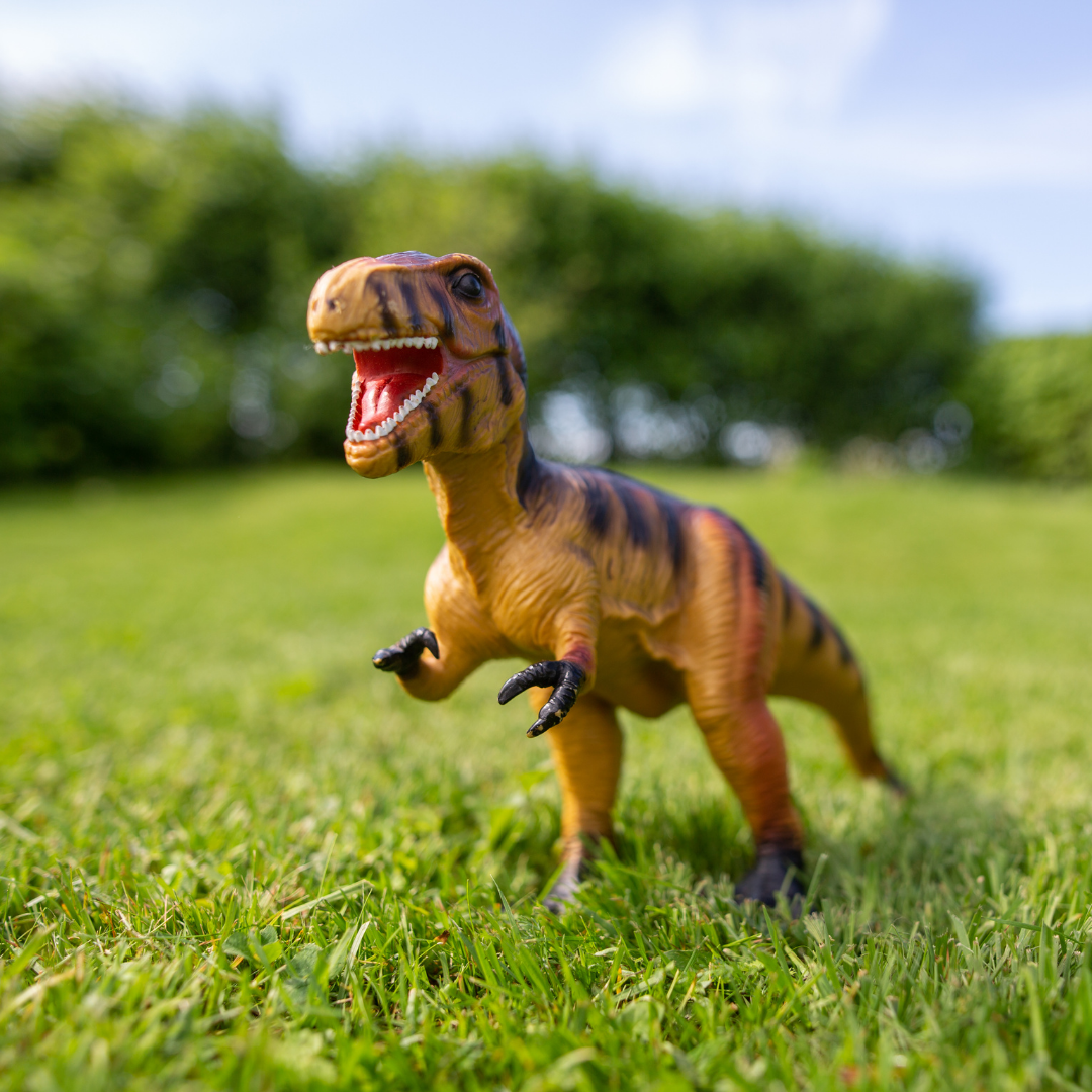 Paleo 4