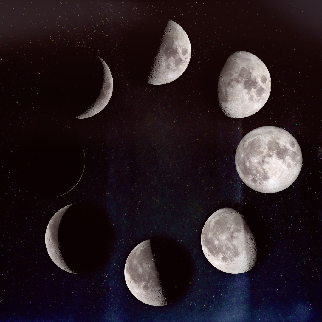Astro 1 (3)