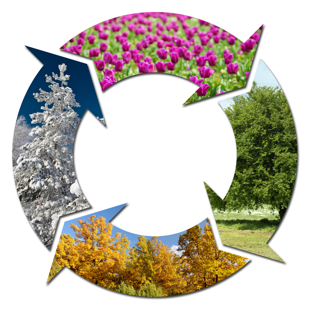 Clima 3 (2)