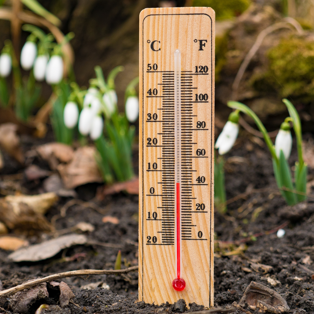 Meteo 2