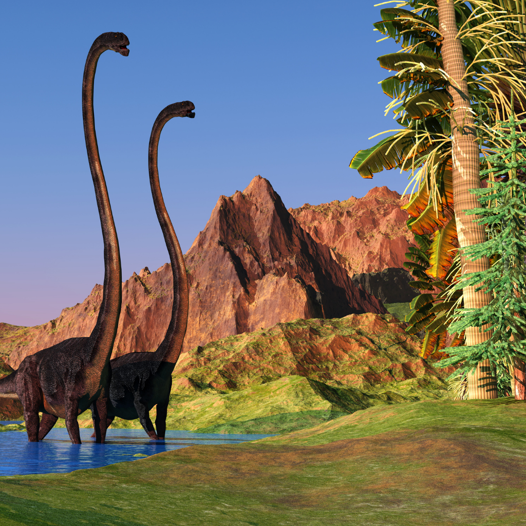 Paleo 2 (3)