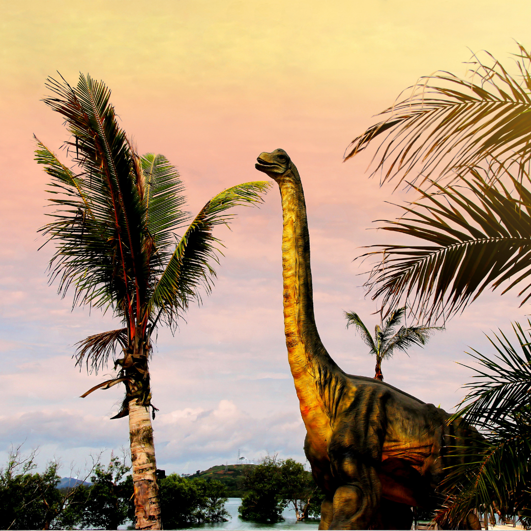 paleo 5 (3)