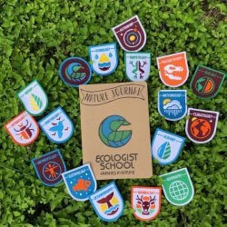 ecologist school badges